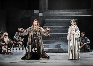 轟 他 舞台写真／専科バウホール公演『オイディプス王』