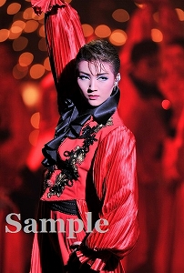 芹香 斗亜 ポケットスチール／花組大劇場公演『新源氏物語』『Melodia－熱く美しき旋律－』