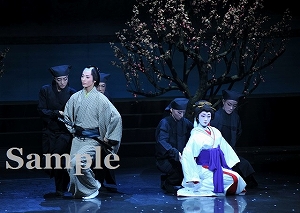 月城 他 舞台写真／雪組バウホール公演『銀二貫』