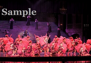 ロケット 舞台写真／雪組大劇場公演『るろうに剣心』