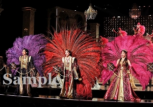 フィナーレ 舞台写真／雪組大劇場公演『るろうに剣心』