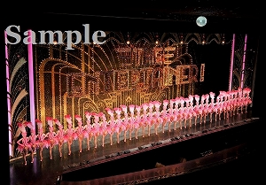 ロケット 舞台写真／星組大劇場公演『こうもり』『THE ENTERTAINER!』