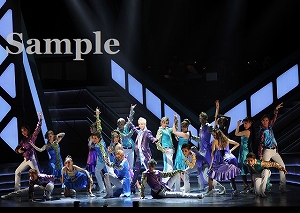 龍 他 舞台写真／月組赤坂ACTシアター公演『Voice』