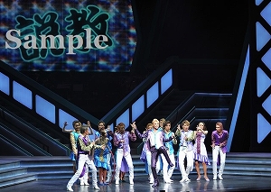 龍 他 舞台写真／月組赤坂ACTシアター公演『Voice』