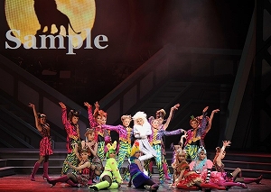 龍 他 舞台写真／月組赤坂ACTシアター公演『Voice』