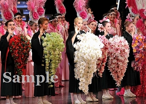 龍 他 舞台写真／『龍真咲サヨナラショー』