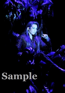 朝夏まなと 舞台写真／宙組大劇場公演『エリザベート―愛と死の輪舞（ロンド）―』