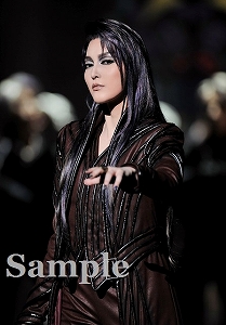 朝夏まなと 舞台写真／宙組大劇場公演『エリザベート―愛と死の輪舞（ロンド）―』