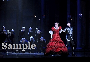 朝夏 他 舞台写真／宙組大劇場公演『エリザベート―愛と死の輪舞（ロンド）―』