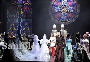 朝夏 他 舞台写真／宙組大劇場公演『エリザベート―愛と死の輪舞（ロンド）―』