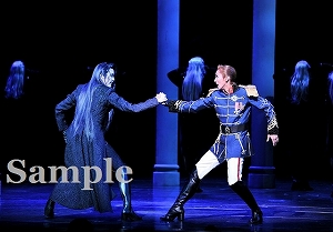 朝夏 澄輝 役替わり舞台写真／宙組大劇場公演『エリザベート―愛と死の輪舞（ロンド）―』