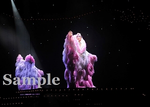 龍真咲 舞台写真／月組東京公演『NOBUNAGA<信長>―下天の夢―』『Forever LOVE!!』