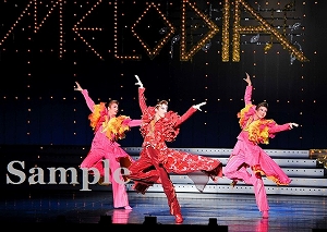 明日海 芹香 鳳月 舞台写真／花組全国ツアー公演『仮面のロマネスク』『Melodia―熱く美しき旋律―』