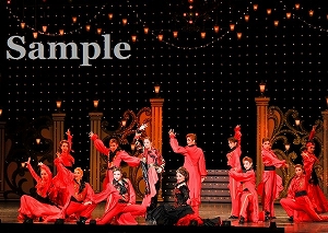 明日海 他 舞台写真／花組全国ツアー公演『仮面のロマネスク』『Melodia―熱く美しき旋律―』