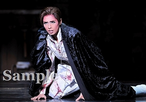 明日海りお 舞台写真／花組大劇場公演『雪華抄（せっかしょう）』『金色（こんじき）の砂漠』