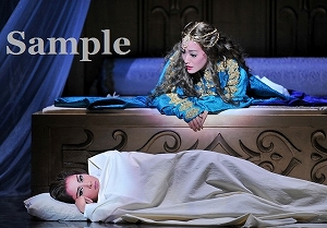 明日海 花乃 舞台写真／花組大劇場公演『雪華抄（せっかしょう）』『金色（こんじき）の砂漠』