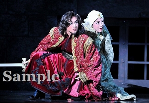 鳳月 仙名 舞台写真／花組大劇場公演『雪華抄（せっかしょう）』『金色（こんじき）の砂漠』