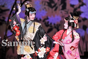 明日海 花乃 ポケットスチール／花組大劇場公演『雪華抄（せっかしょう）』『金色（こんじき）の砂漠』