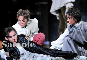 綺城 優波 聖乃 舞台写真／花組新人公演『金色（こんじき）の砂漠』