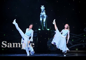 珠城 愛希 舞台写真／月組大劇場公演『カルーセル輪舞曲（ロンド）』