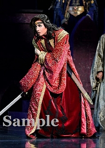 鳳月 杏 舞台写真／花組東京公演『雪華抄（せっかしょう）』『金色（こんじき）の砂漠』