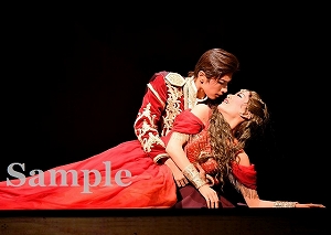 明日海 花乃 舞台写真／花組東京公演『雪華抄（せっかしょう）』『金色（こんじき）の砂漠』