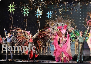 朝夏 他 舞台写真／宙組東京公演『王妃の館－Chateau de la Reine－』『VIVA!FESTA!』