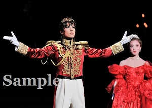 花組 全国ツアー公演 仮面のロマネスク- DVD２枚セット　明日海りお Amazon.co.jp: 花組全国ツアー公演 ミュージカル『仮面の
