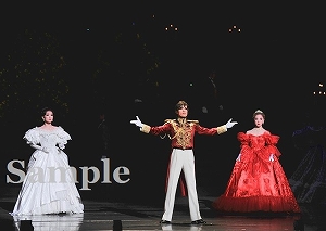 明日海 他 舞台写真／花組全国ツアー公演『仮面のロマネスク』『EXCITER!!2017』