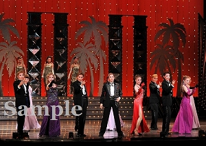 明日海 他 舞台写真／花組全国ツアー公演『仮面のロマネスク』『EXCITER!!2017』