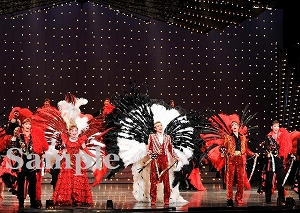 フィナーレ 舞台写真／花組全国ツアー公演『仮面のロマネスク』『EXCITER!!2017』