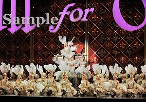 ロケット 舞台写真／月組大劇場公演『All for One』