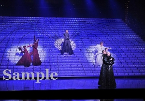 紅 他 舞台写真／星組大劇場公演『ベルリン、わが愛』『Bouquet de TAKARAZUKA（ブーケ ド タカラヅカ）』