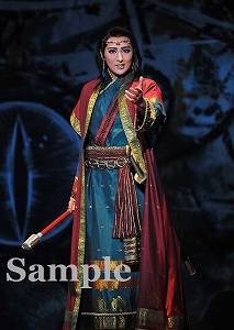 珠城りょう 舞台写真／月組全国ツアー公演『鳳凰伝』『CRYSTAL TAKARAZUKA－イメージの結晶－』