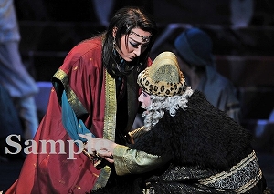 珠城 箙 舞台写真／月組全国ツアー公演『鳳凰伝』『CRYSTAL TAKARAZUKA－イメージの結晶－』