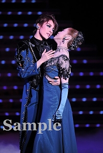 明日海・仙名 ポケットスチール／花組大劇場公演『ポーの一族』