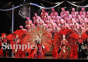 フィナーレ 舞台写真／星組大劇場公演『ANOTHER WORLD』『Killer Rouge（キラールージュ）』