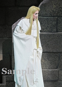 星条海斗 舞台写真／宙組東京公演『天（そら）は赤い河のほとり』『シトラスの風－Sunrise－』