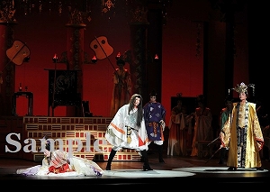 明日海 他 舞台写真／花組博多座公演『あかねさす紫の花』『Sante!!』