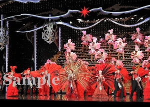 星組 宝塚大劇場公演 ANOTHER WORLD/Killer Rouge 星組公演『ANOTHER WORLD』『Killer Rouge（キラー ルージュ