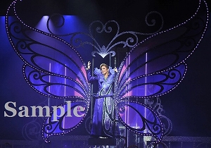 明日海りお 舞台写真／花組大劇場公演『MESSIAH －異聞・天草四郎－』『BEAUTIFUL GARDEN －百花繚乱－』