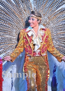 雪組 望海風斗 凱旋門 GatoBonito! 宝塚お茶会 DVD 写真集 雪組 望海風斗 凱旋門 GatoBonito! 宝塚お茶会 DVD 写真集 雪組 宝塚