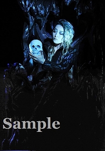 珠城りょう 舞台写真／月組大劇場公演『エリザベート－愛と死の輪舞（ロンド）－』