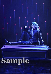 珠城りょう 舞台写真／月組大劇場公演『エリザベート－愛と死の輪舞（ロンド）－』