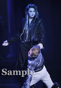 珠城 暁 舞台写真／月組大劇場公演『エリザベート－愛と死の輪舞（ロンド）－』