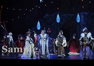 紅 他 舞台写真／星組梅田芸術劇場公演『Thunderbolt Fantasy（サンダーボルト ファンタジー） 東離劍遊紀（とうりけんゆうき）』『Killer Rouge／星秀☆煌紅』