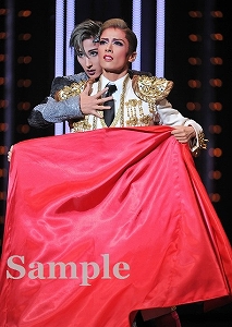 明日海・水美 舞台写真／花組東京公演『MESSIAH（メサイア）－異聞・天草四郎－』『BEAUTIFUL GARDEN－百花繚乱－』