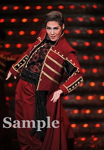 愛月ひかる 舞台写真／宙組大劇場公演『白鷺(しらさぎ)の城(しろ)』『異人たちのルネサンス』