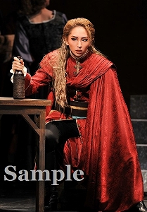 桜木みなと 舞台写真／宙組大劇場公演『白鷺(しらさぎ)の城(しろ)』『異人たちのルネサンス』