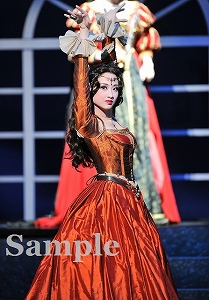 星風まどか 舞台写真／宙組大劇場公演『白鷺(しらさぎ)の城(しろ)』『異人たちのルネサンス』